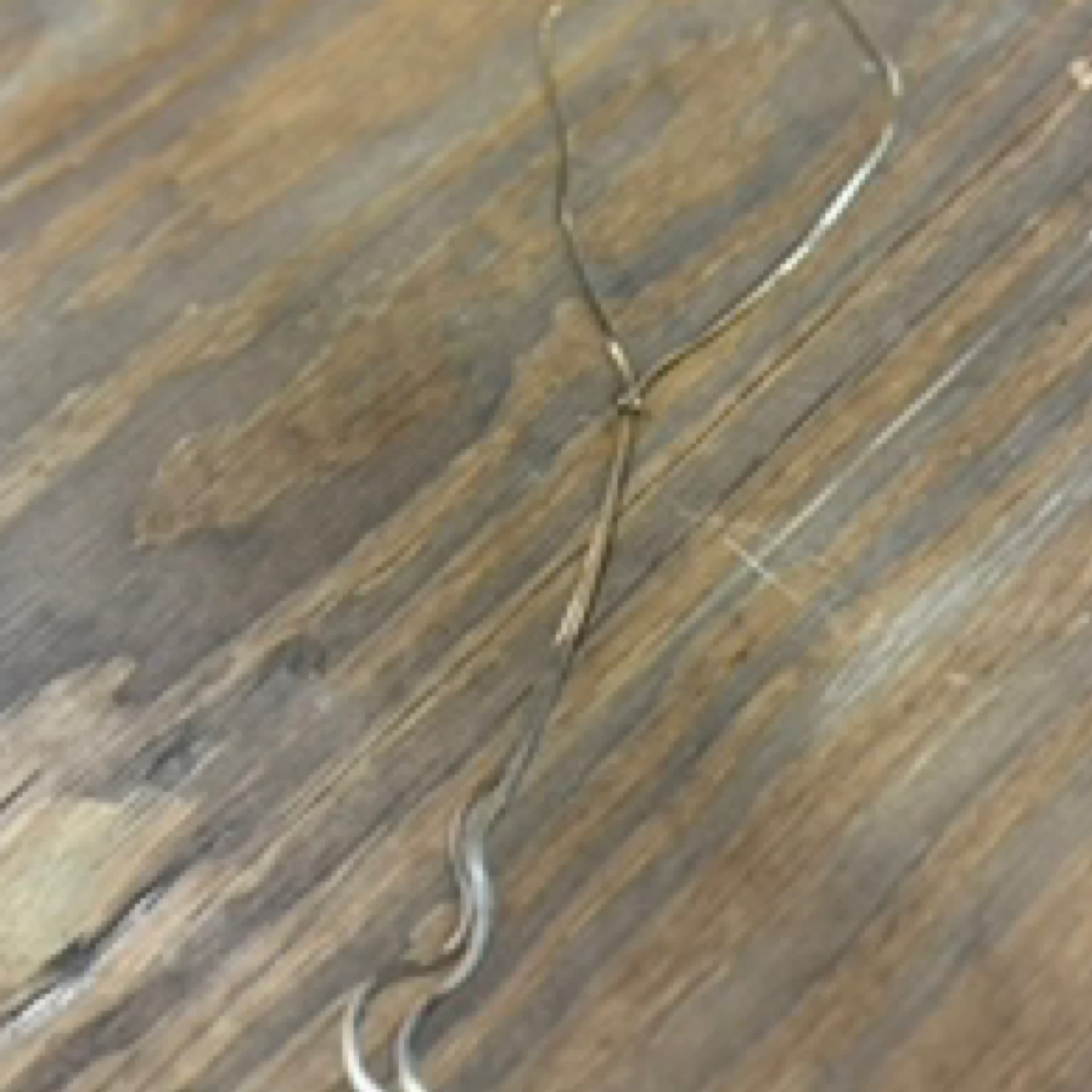 Bolo Necklace